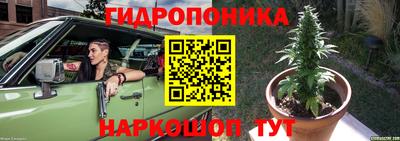 прущие крисы Нягань