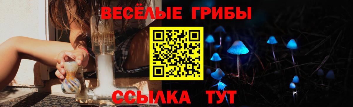 Галлюциногенные грибы Psilocybine cubensis  Вход с VPN  Обнинск 